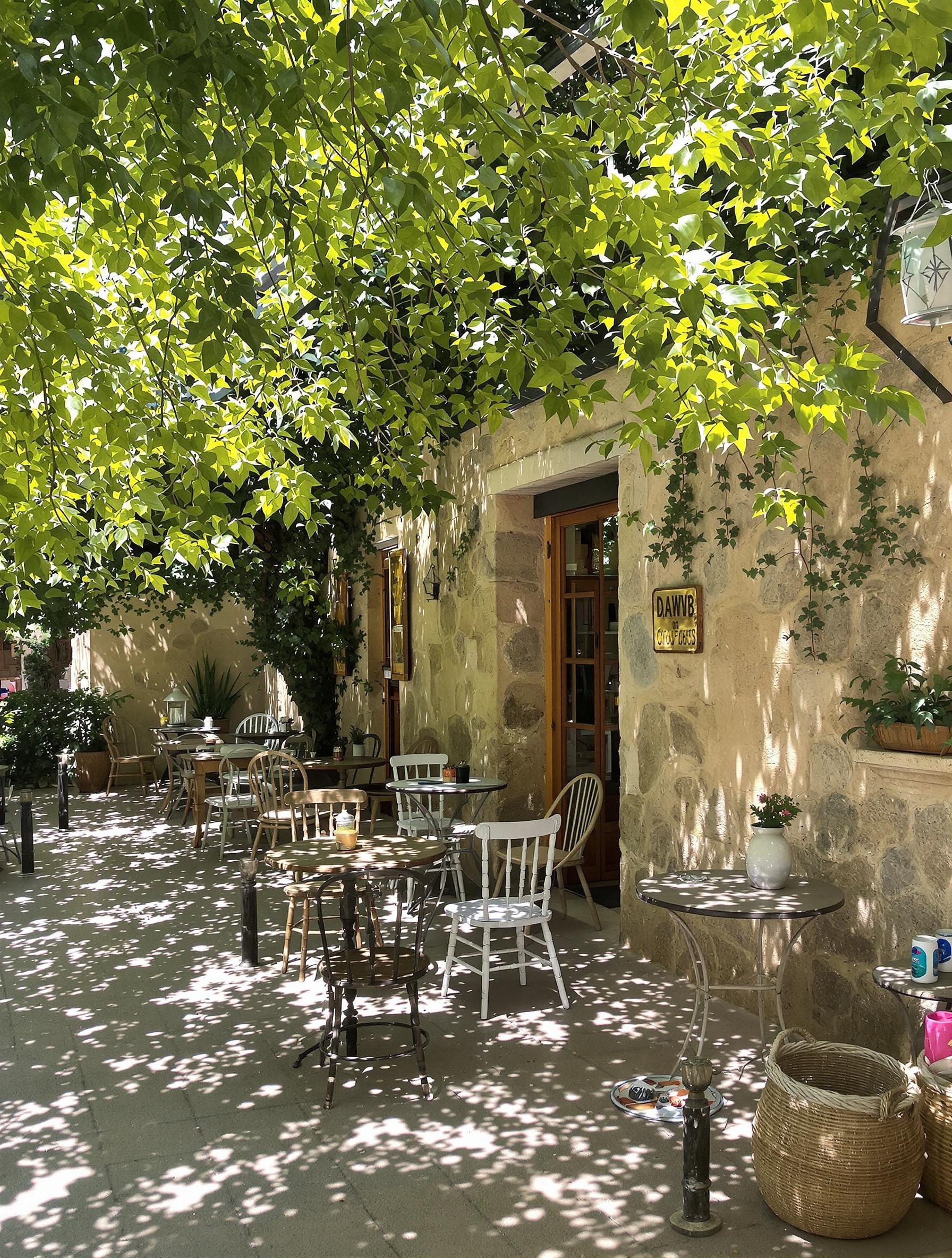 Bistrot authentique près de la cascade de la Vis avec terrasse ombragée