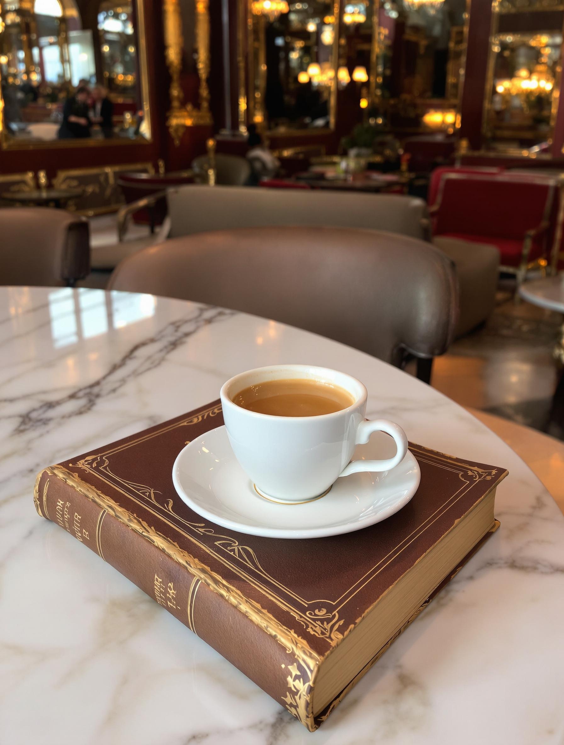 espresso Café Majestic Porto livre ancien